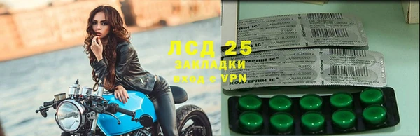 ECSTASY Алзамай