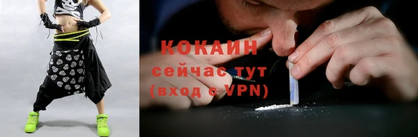 ECSTASY Алзамай