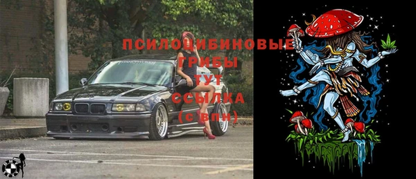 ECSTASY Алзамай