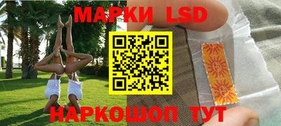 стаф Шебекино