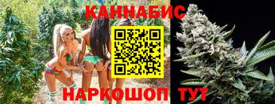 стаф Шебекино
