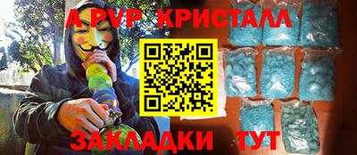 стаф Шебекино